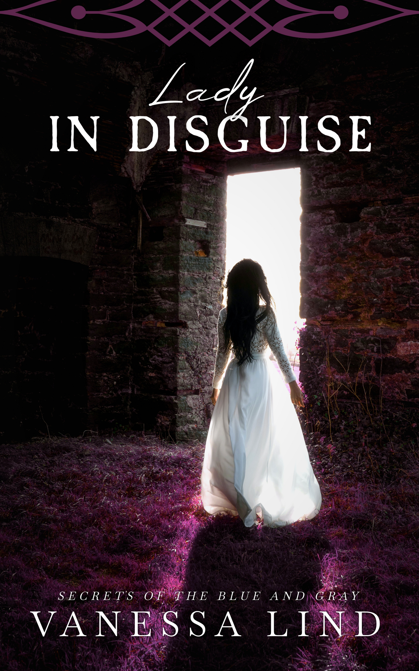 Lady in Disguise | eBook | Prequel Secrets of the Blue and Gray