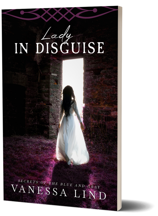 Lady in Disguise  | Paperback | Prequel Secrets of the Blue and Gray