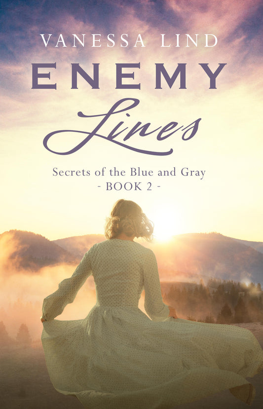 Enemy Lines: A Riveting Historical Novel of Adventure and Love (Secrets of the Blue and Gray Book 2) | eBook
