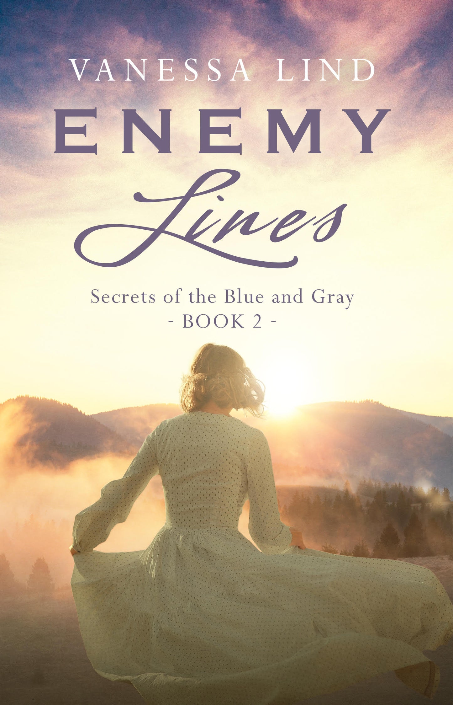 Enemy Lines | eBook | Book 2 Secrets of the Blue and Gray