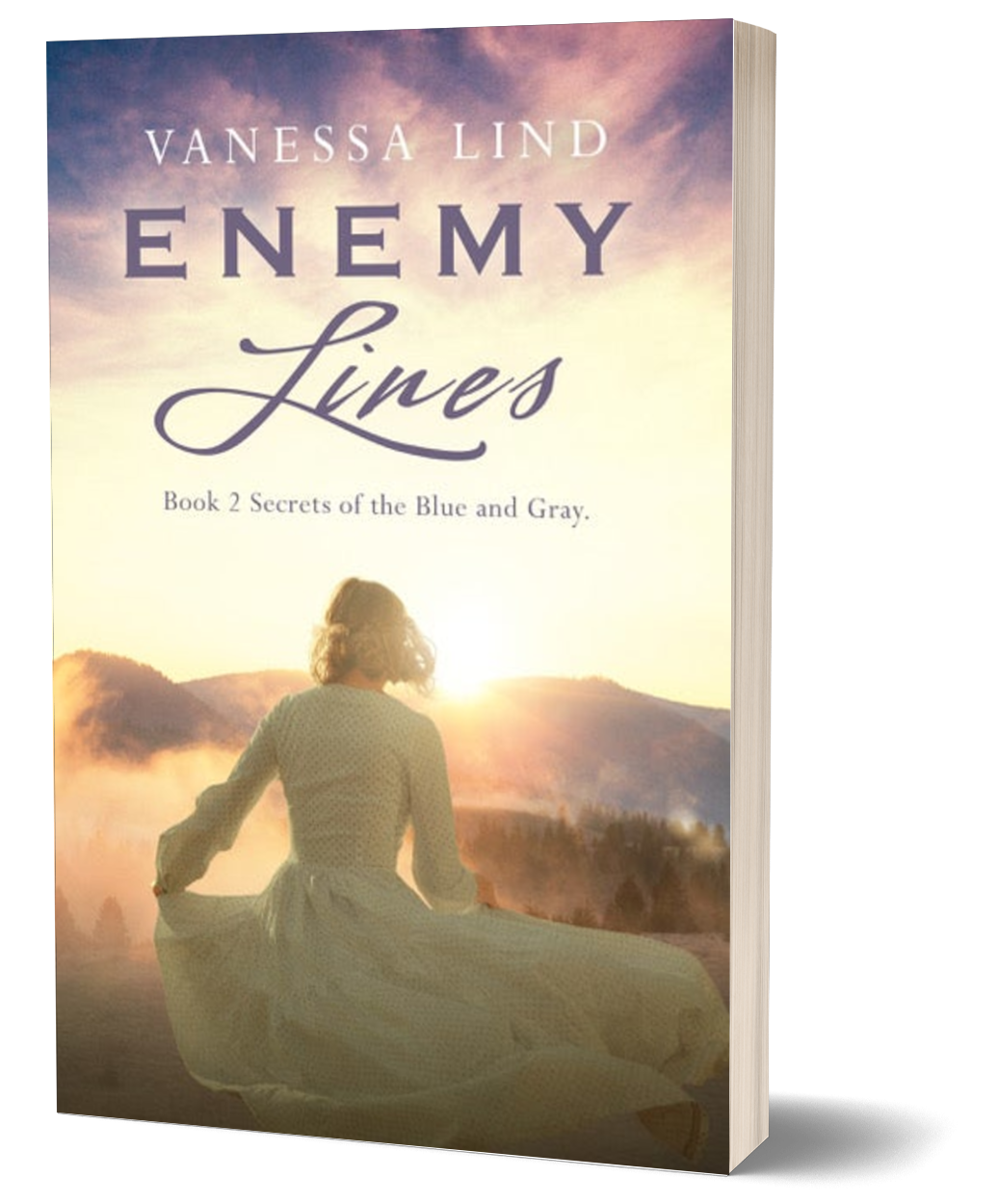 Enemy Lines: A Riveting Historical Novel of Adventure and Love (Secrets of the Blue and Gray Book 2) | Paperback