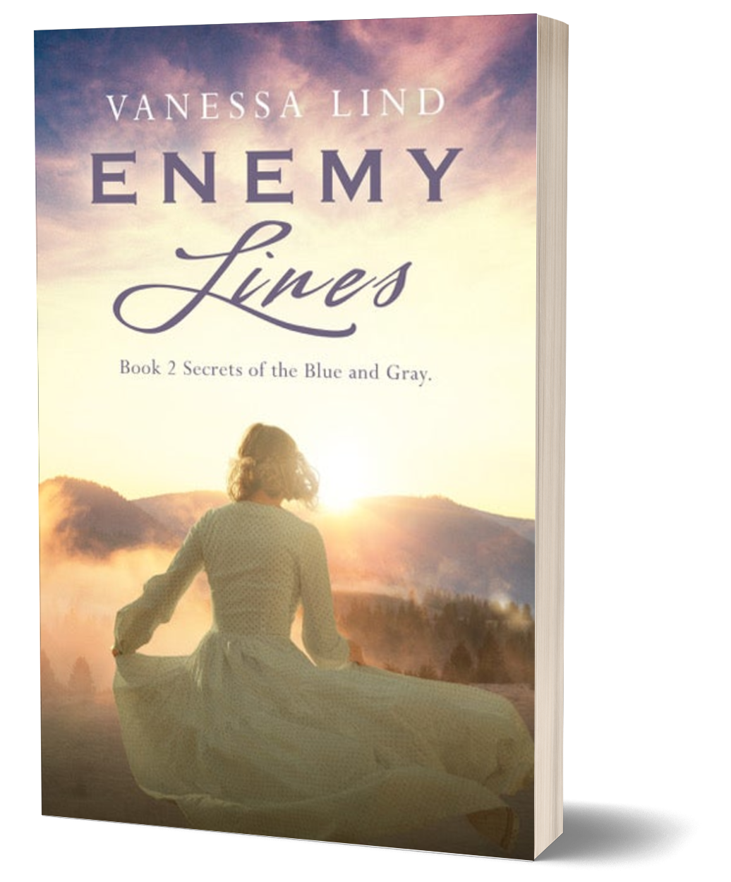 Enemy Lines | Paperback | Book 2 Secrets of the Blue and Gray